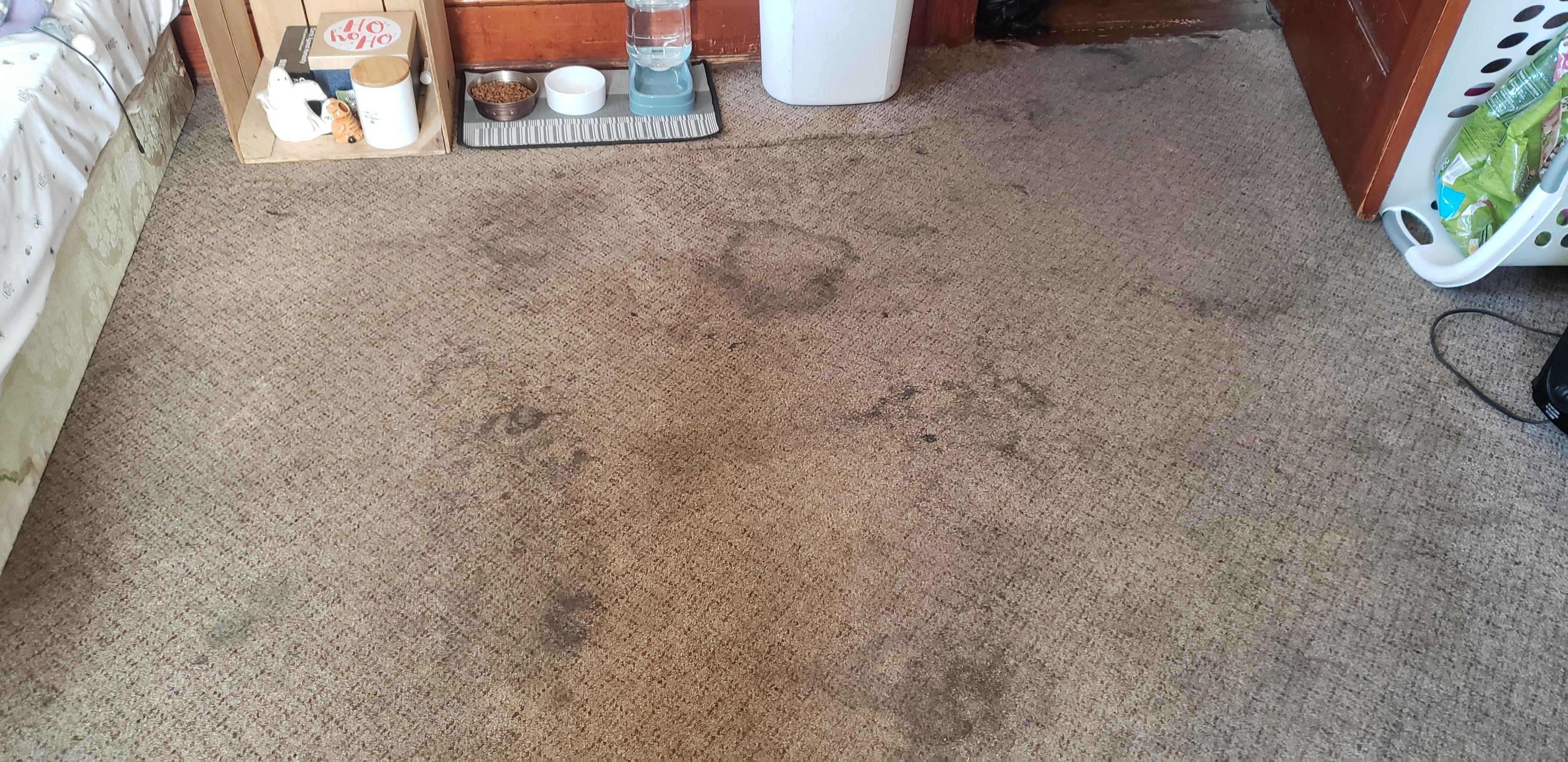 Before cleaning